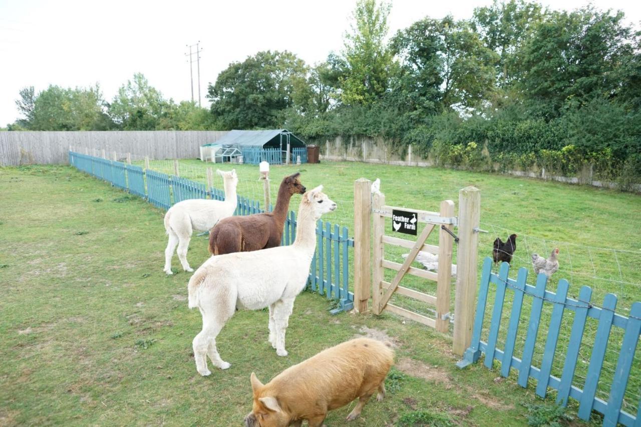 Alpaca Lodge Sittingbourne Εξωτερικό φωτογραφία